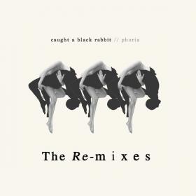 Phoria - Caught a Black Rabbit - The Remixes (2022) [24Bit-44.1kHz] FLAC [PMEDIA] ⭐️