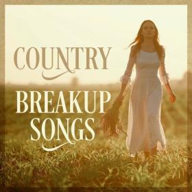 Various Artists - Country Breakup Songs (2022) Mp3 320kbps [PMEDIA] ⭐️