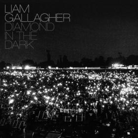 Liam Gallagher - Diamond In The Dark (2022) [24 Bit Hi-Res] FLAC [PMEDIA] ⭐️