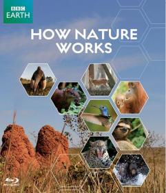 【首发于高清影视之家 】自然的运作[共4部合集][简繁英字幕] BBC How Nature Works 2012 EP01-EP04 BluRay 1080p DTS-HD MA 2 0 x265 10bit-ALT