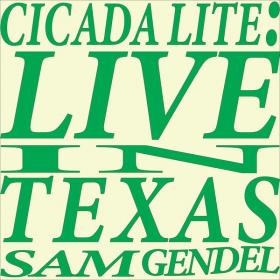 Sam Gendel - Cicada Lite (Live in Texas) (2022) [24Bit-48kHz]  FLAC [PMEDIA] ⭐️