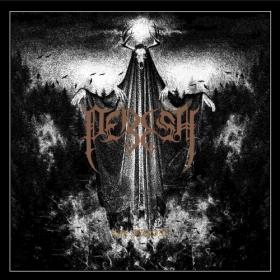 Perish - The Decline (2022) [24 Bit Hi-Res] FLAC [PMEDIA] ⭐️
