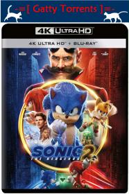 Sonic the Hedgehog 2 [2022] 4K YG