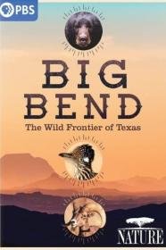 Nature Big Bend The Wild Frontier Of Texas (2021) [720p] [WEBRip] [YTS]