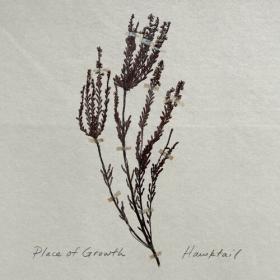 Hawktail - Place of Growth (2022) Mp3 320kbps [PMEDIA] ⭐️