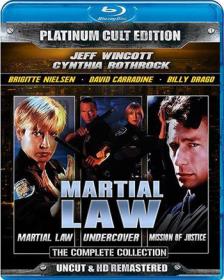 Martial Law 2 Undercover 1991 720p DD2.0 x264