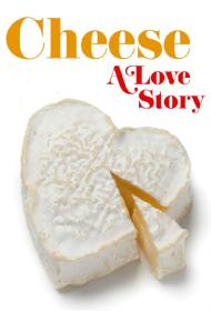 Cheese A Love Story S01 1080p HULU WEBRip DDP5.1 x264-squalor[rartv]