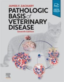 Pathologic Basis of Veterinary Disease, 7E PDF UnitedVRG+AES (tahir99)