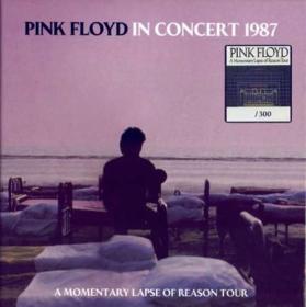 Pink Floyd - In Concert 1987 (8CD) (2022)