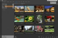 IDimager Photo Supreme 7.3.0.4500 (x64) Multilingual