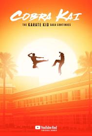 Cobra Kai S01E01-10 1080p WEBRip ITA ENG DDP5.1 x264-BlackBit