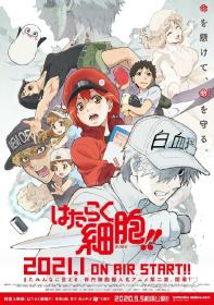 [Kamigami] Hataraku Saibou S2 [BD 720p x265 AAC CHS]