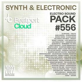 Beatport Synth Electronic  Sound Pack #556