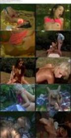 Sweety 18 No 11 Flotte Bienen 2004 DVDRip x264-worldmkv