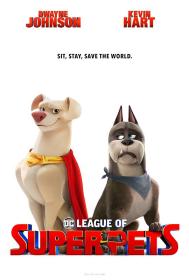 【首发于高清影视之家 】DC萌宠特遣队[国英多音轨+简繁字幕] DC League of Super Pets 2022 1080p BluRay x265 10bit DTS-CTRLHD