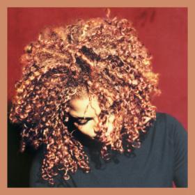 Janet Jackson - The Velvet Rope (Deluxe Edition) (2022) FLAC [PMEDIA] ⭐️