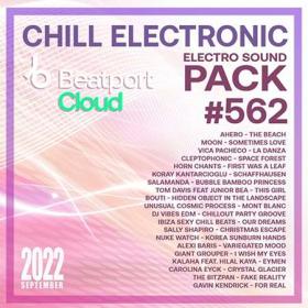 Chill Electronic  Sound Pack #562