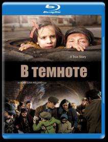 V Temnote 2011 x264 BluRay-Remux (1080i)