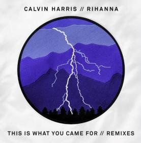 Calvin Harris & Rihanna This Is What You Came For (Remixes) 2016 Mp3 320kbps Happydayz