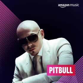 Pitbull - Discography [FLAC Songs] [PMEDIA] ⭐️