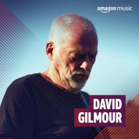David Gilmour - Discography [FLAC Songs] [PMEDIA] ⭐️