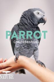 Nature Parrot Confidential (2013) [1080p] [WEBRip] [YTS]