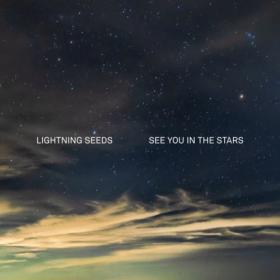 The Lightning Seeds - See You in the Stars (2022) Mp3 320kbps [PMEDIA] ⭐️