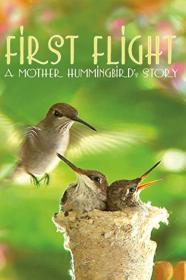 First Flight A Mother Hummingbirds Story (2009) [1080p] [WEBRip] [YTS]
