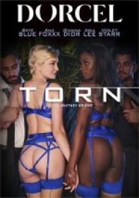 Torn [DORCEL 2022] XXX WEB-DL 720p SPLIT SCENES