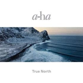 A-ha  - True North (2022) [24 bit-96kHz] FLAC