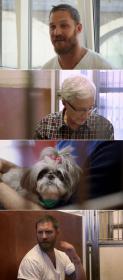 Paul O Grady For The Love Of Dogs S04E04 WEBRip x264-XEN0N