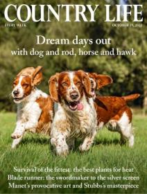 Country Life UK - 19th October 2022 (True PDF)