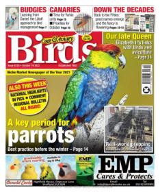 Cage & Aviary Birds - 19 October 2022