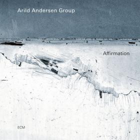 Arild Andersen Group - Affirmation (2022) [24Bit-96kHz] FLAC [PMEDIA] ⭐️