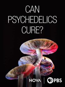 PBS NOVA Can Psychedelics Cure 1080p WEB x265 AAC MVGroup Forum