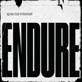 Special Interest - Endure (2022) Mp3 320kbps [PMEDIA] ⭐️