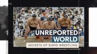 Ch4 Unreported World 2022 Secrets of Sumo Wrestling 1080p HDTV x265 AAC