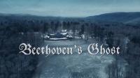 PBS Now Hear This Beethovens Ghost 1080p WEB x265 AAC MVGroup Forum