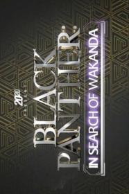 20-20 Presents Black Panther In Search of Wakanda 2022 720p WEBRip 800MB x264-GalaxyRG[TGx]