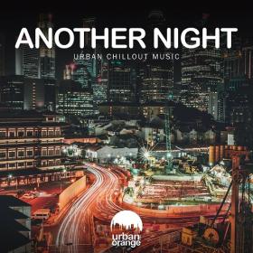 VA - Another Night  Urban Chillout Music (2022) MP3