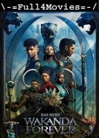 Black Panther Wakanda Forever (2022) 480p ORG Hindi Pre-DVDRip x264 AAC DDP2.0 By Full4Movies