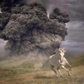 The White Buffalo - Year Of The Dark Horse (2022) [24Bit-48kHz] FLAC