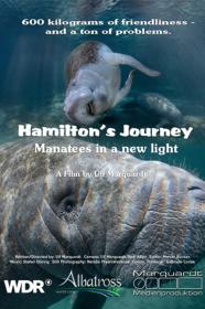Hamiltons Journey Manatees In A New Light (2014) [720p] [WEBRip] [YTS]