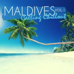 VA - Maldives Calling Chillout, Vol  1 (2022)