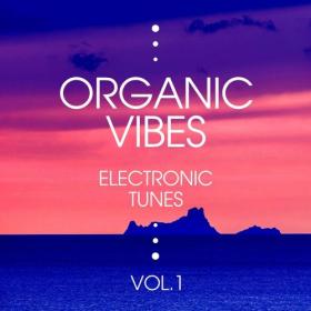VA - Organic Vibes [Electronic Tunes], Vol  1-4 (2018-2019) MP3