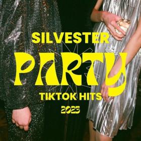 Various Artists - Silvester Party TikTok Hits 2023 (2022) Mp3 320kbps [PMEDIA] ⭐️