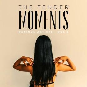 VA - The Tender Moments, Vol  1-2 (2022) MP3