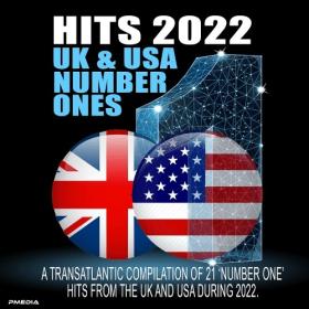 Various Artists - DMC Essential Hits 2022 UK & USA Number Ones (2022) Mp3 320kbps [PMEDIA] ⭐️