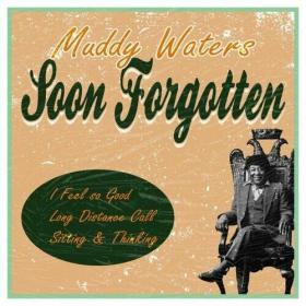 Muddy Waters - Soon Forgotten (2022) Mp3 320kbps [PMEDIA] ⭐️