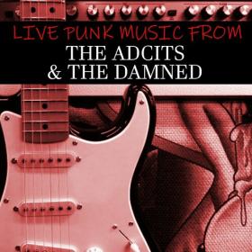 The Adicts - Live Punk Music From The Adicts & The Damned (2022) FLAC [PMEDIA] ⭐️